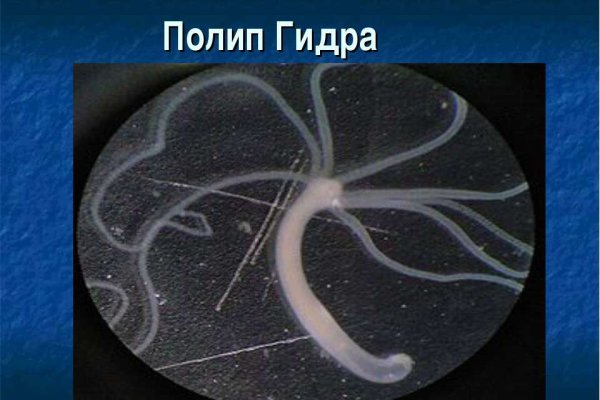 Кракен даркнет зеркало пв