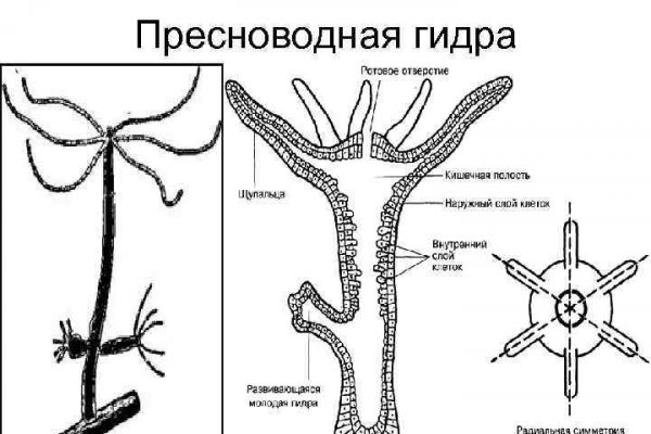 Где найти рабочую ссылку на кракен