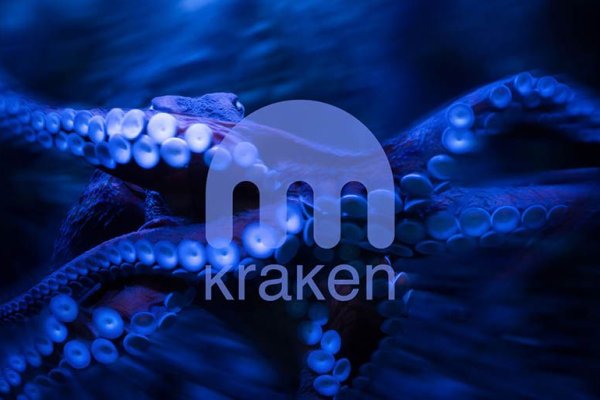 Kraken kraken dark link