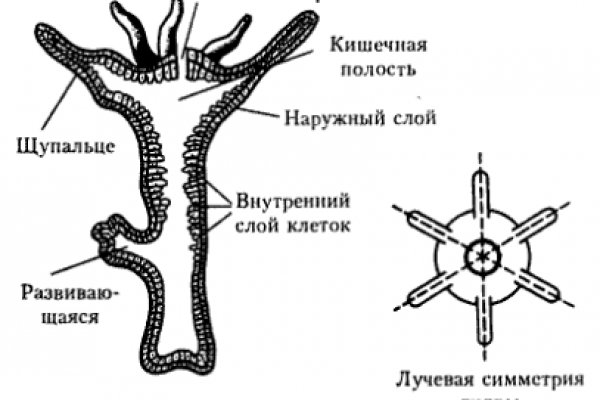 Кракен новая гидра